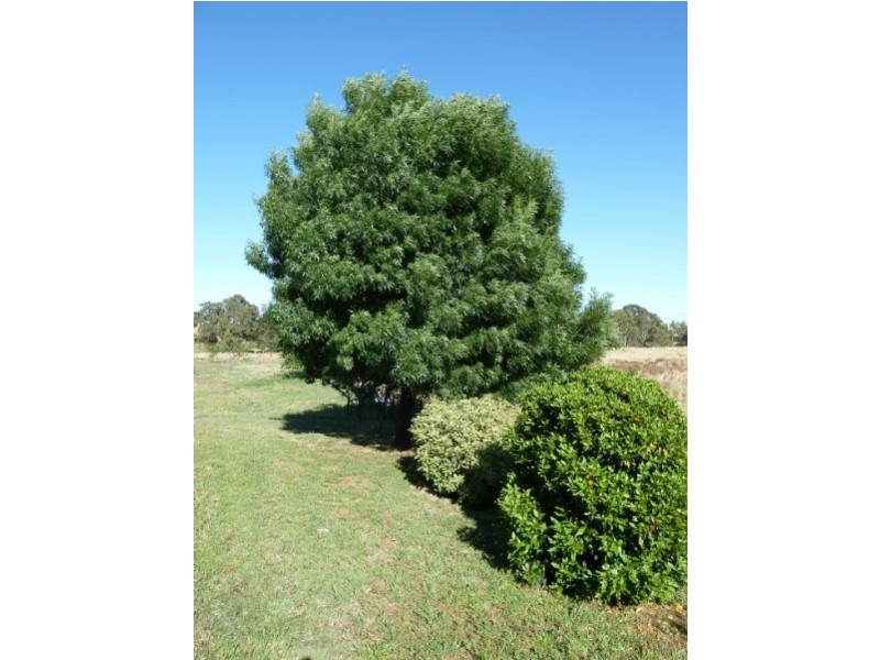 1230 McCallums Creek Road, Talbot VIC 3371