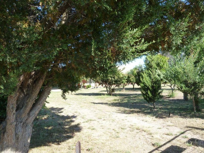 1230 McCallums Creek Road, Talbot VIC 3371