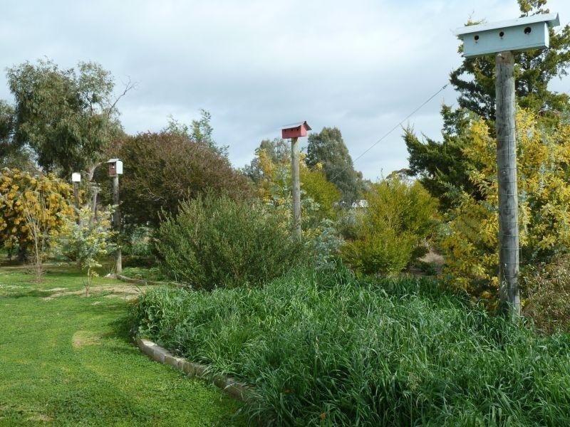 981 Bet Bet Creek Road, Bet Bet VIC 3472