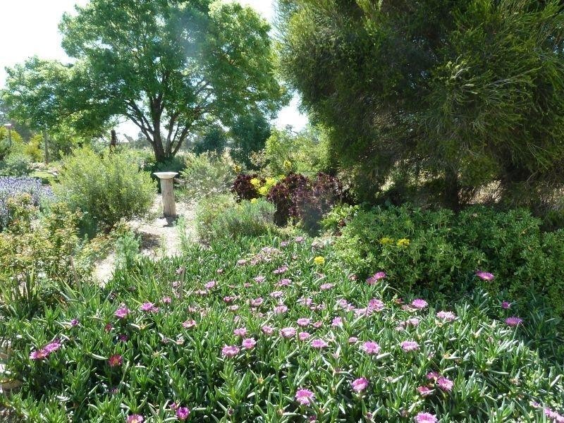 981 Bet Bet Creek Road, Bet Bet VIC 3472