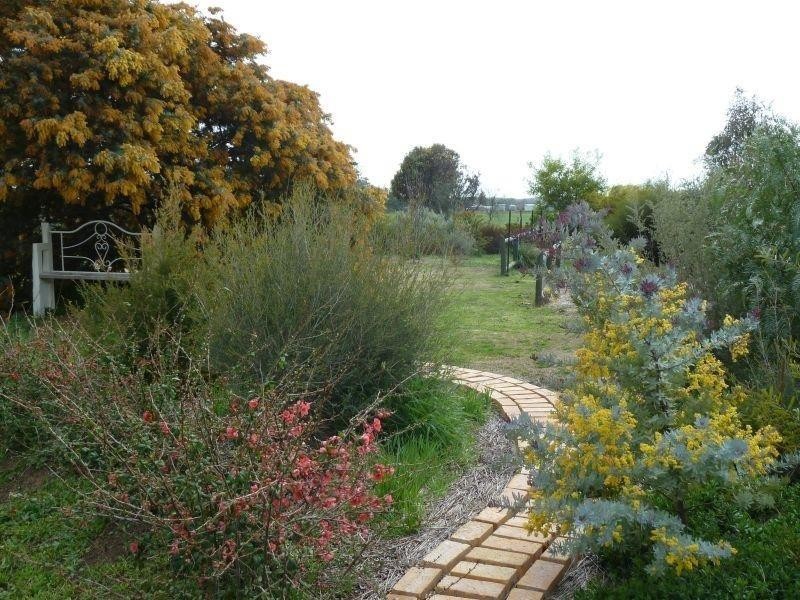 981 Bet Bet Creek Road, Bet Bet VIC 3472