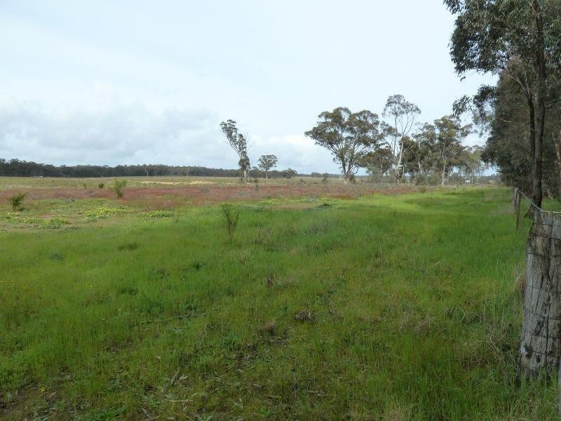 145 Lillicur Road, Amherst VIC 3371
