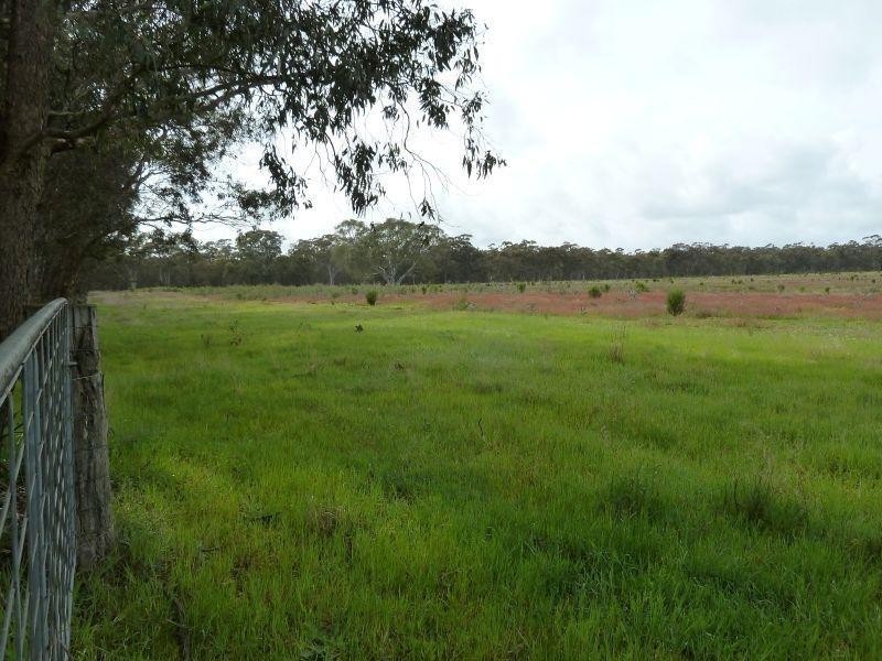 145 Lillicur Road, Amherst VIC 3371