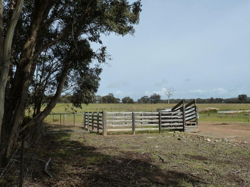 145 Lillicur Road, Amherst VIC 3371