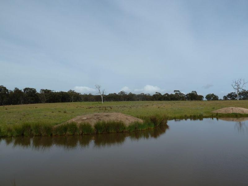 145 Lillicur Road, Amherst VIC 3371