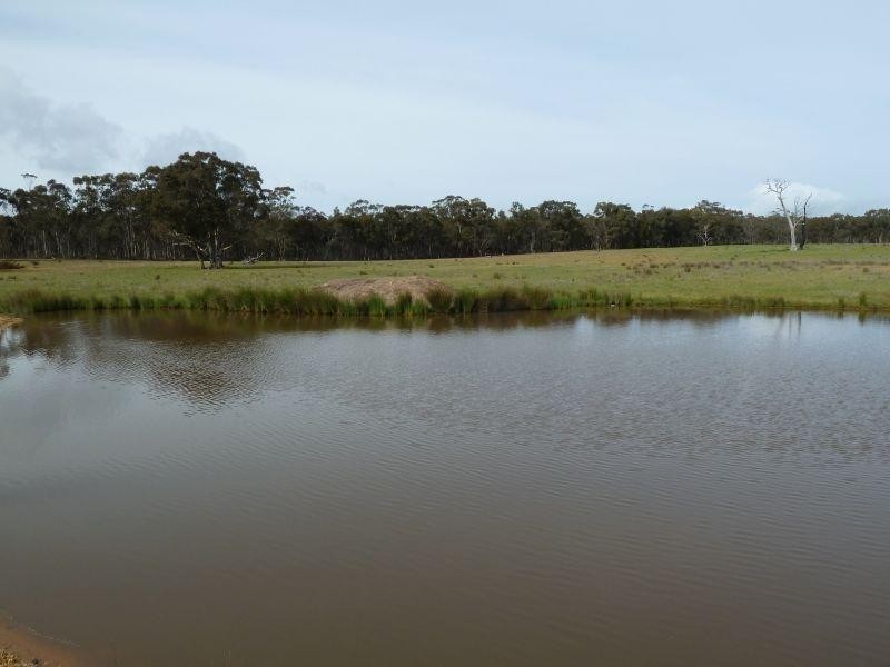 145 Lillicur Road, Amherst VIC 3371