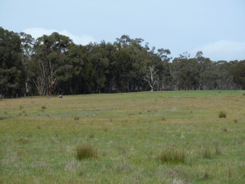 145 Lillicur Road, Amherst VIC 3371
