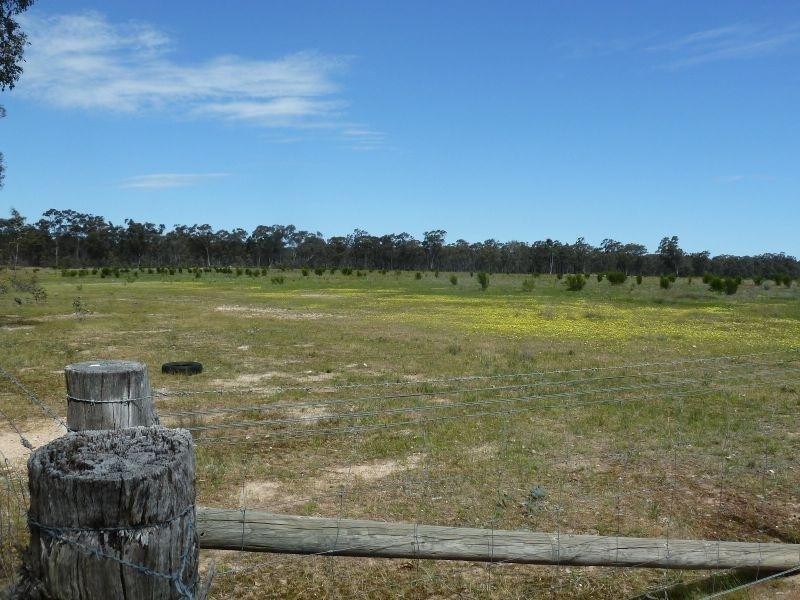 145 Lillicur Road, Amherst VIC 3371