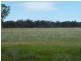 145 Lillicur Road, Amherst VIC 3371