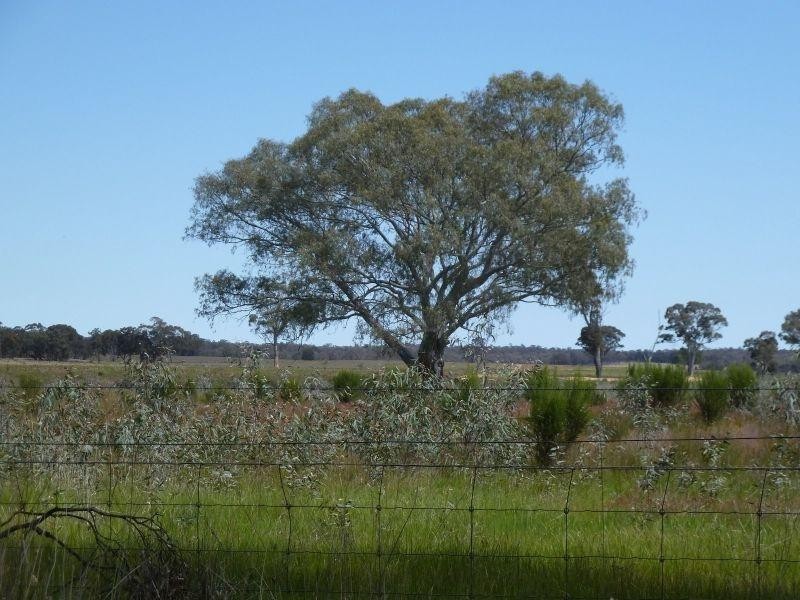145 Lillicur Road, Amherst VIC 3371
