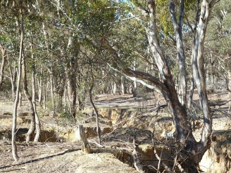 Ca 38P McDonalds Road, Evansford VIC 3371