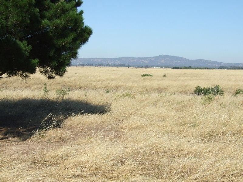 45 Dickson Road, Clunes VIC 3370