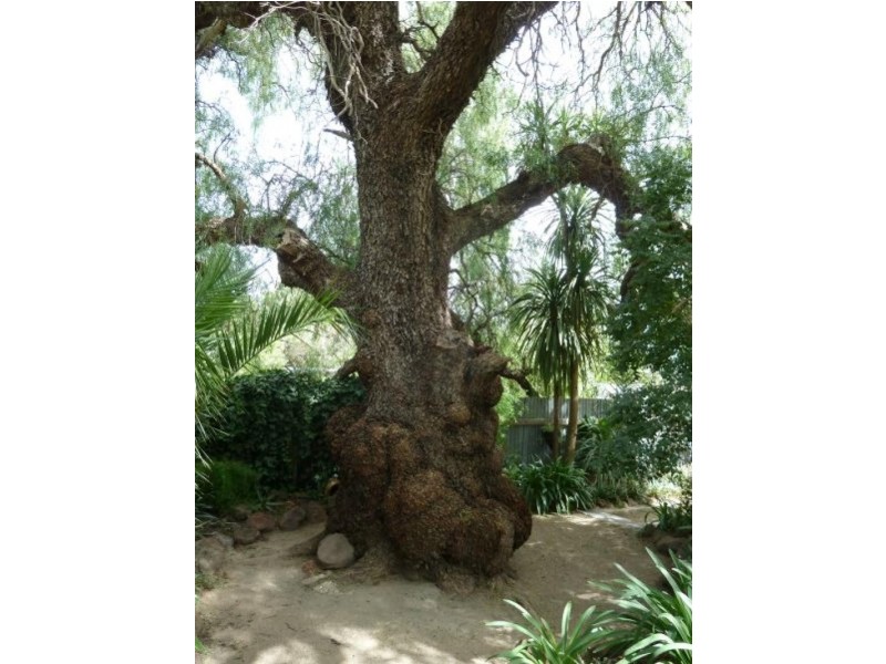 13 Ballarat Street, Talbot VIC 3371