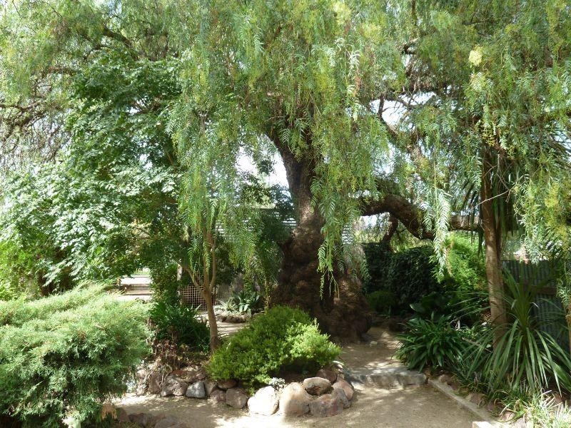 13 Ballarat Street, Talbot VIC 3371