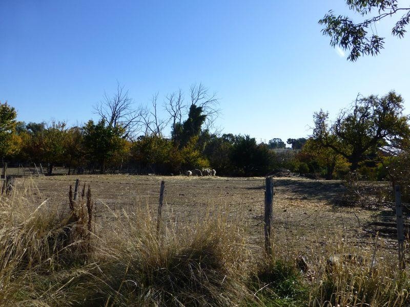 Ca 5 Smith Street, Clunes VIC 3370