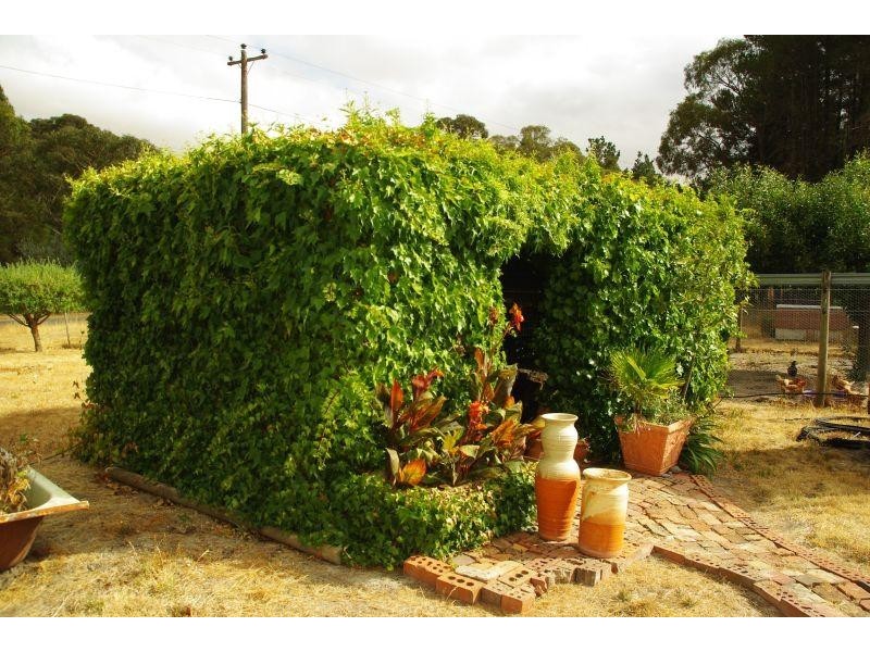 4420 Creswick-Broomfield Road, Broomfield VIC 3364