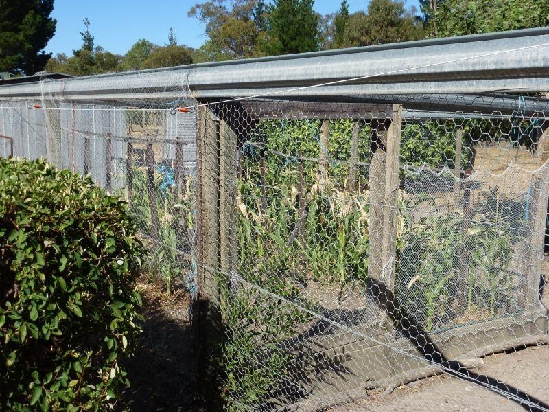 4420 Creswick-Broomfield Road, Broomfield VIC 3364