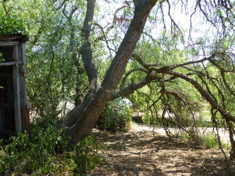 30 Leslie Street, Clunes VIC 3370