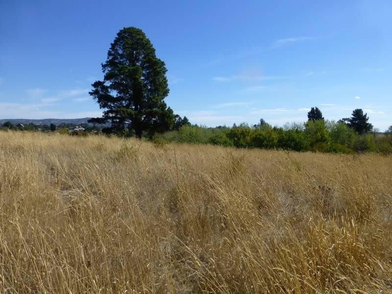 Lot 2 Canterbury  Street, Clunes VIC 3370