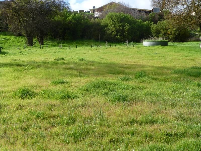 15 George Street, Clunes VIC 3370