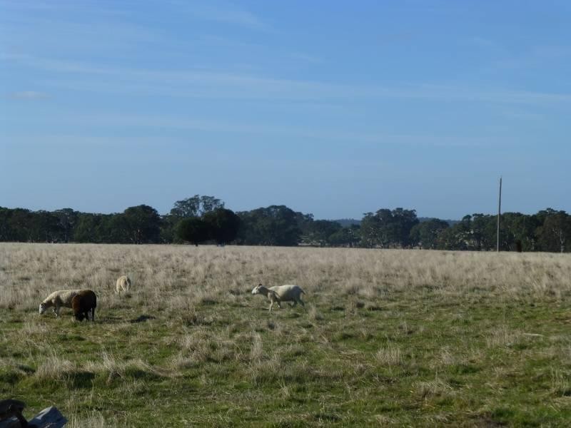 CA 15 & 39 Stud Farm  Road, Evansford VIC 3371