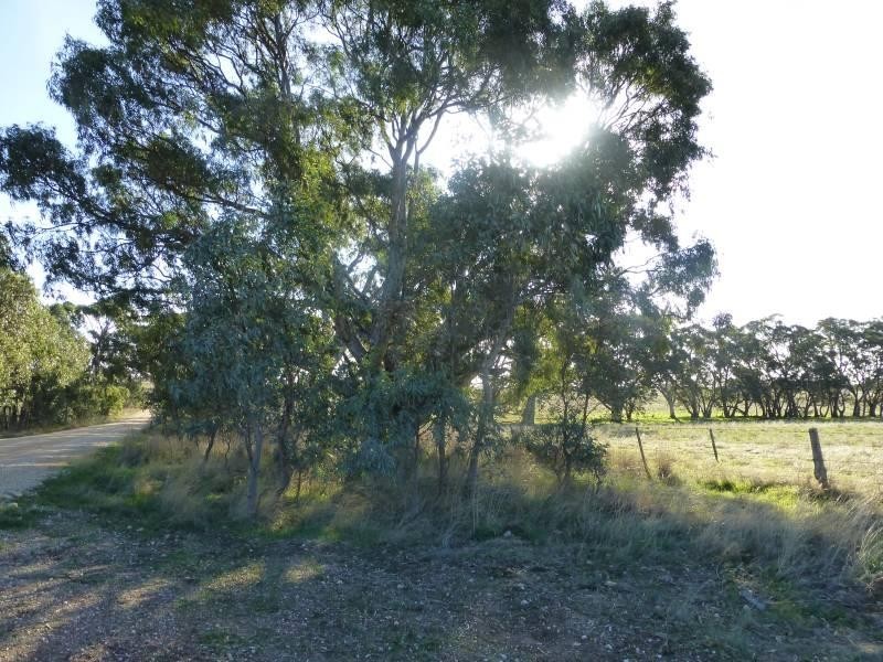 CA 15 & 39 Stud Farm  Road, Evansford VIC 3371