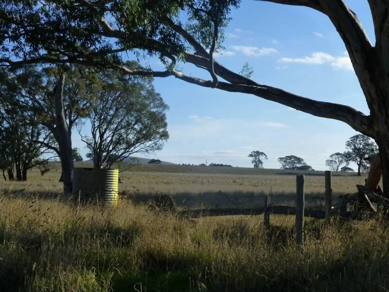 CA 15 & 39 Stud Farm  Road, Evansford VIC 3371
