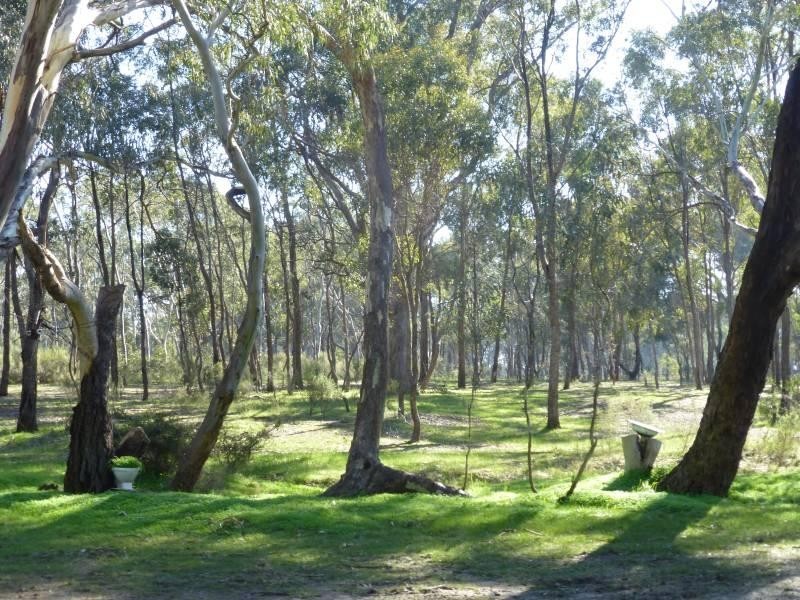 15 Cemetery Road, Clunes VIC 3370