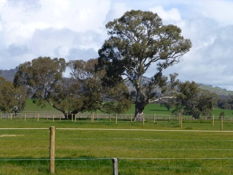 95 Beckworth Court Road, Clunes VIC 3370