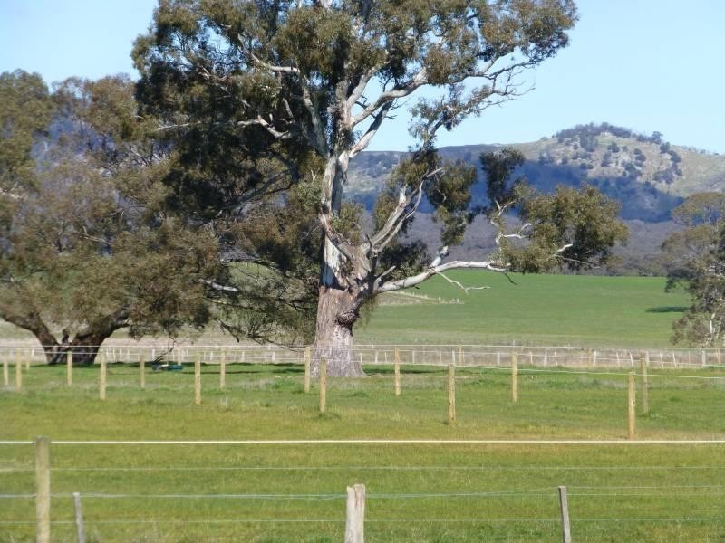 95 Beckworth Court Road, Clunes VIC 3370