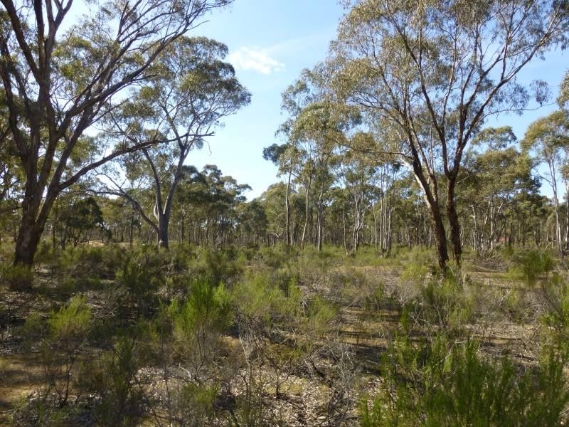 150 Sorrensons Road, Talbot VIC 3371