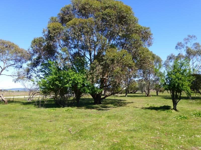 69 Albert Street, Clunes VIC 3370