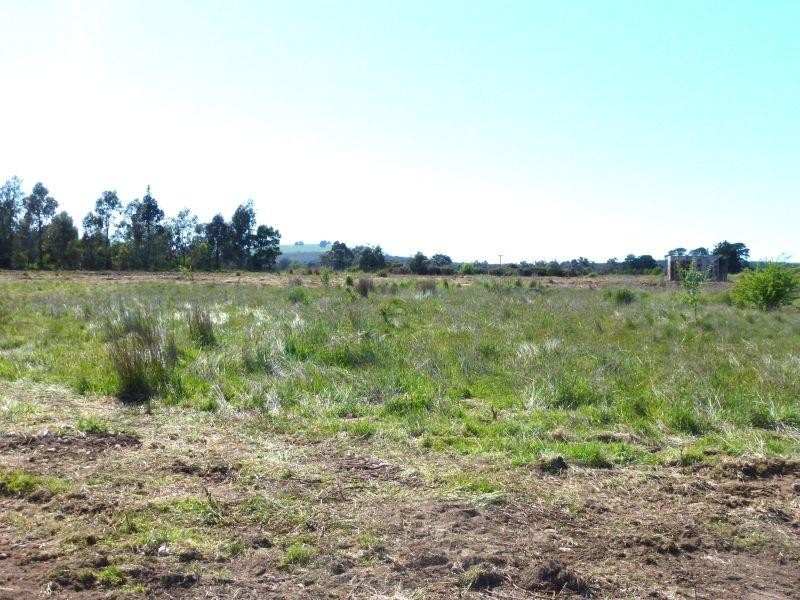 95 Carmody Drive, Creswick VIC 3363