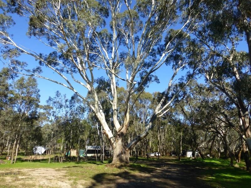 15 Cemetery Road, Clunes VIC 3370