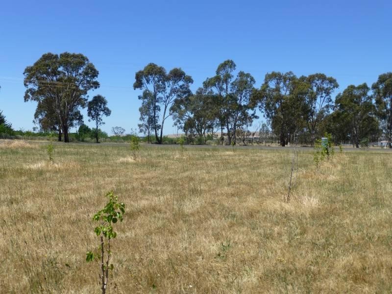 109 Mcdonalds Road, Clunes VIC 3370