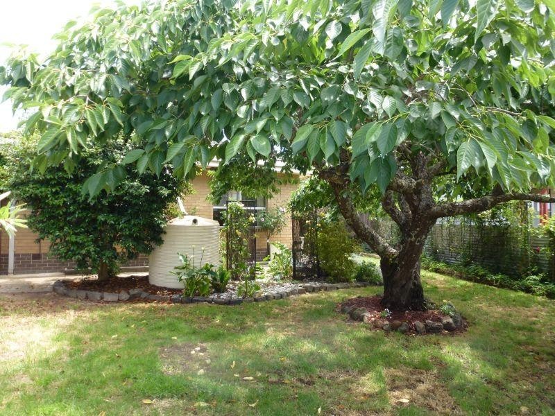 21 Semmens Avenue, Creswick VIC 3363