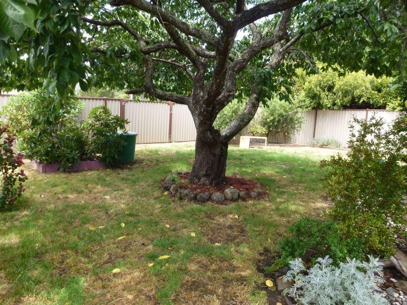 21 Semmens Avenue, Creswick VIC 3363