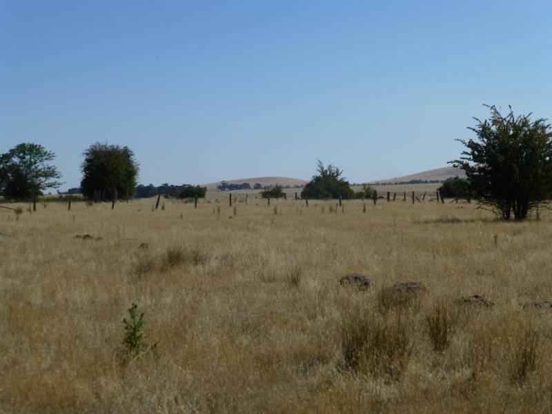 125 Smeaton  Road, Clunes VIC 3370