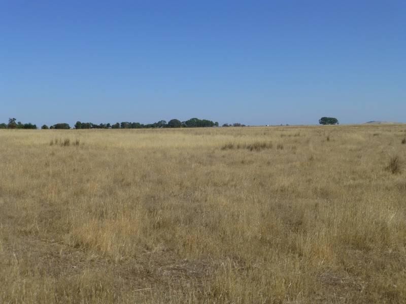 125 Smeaton  Road, Clunes VIC 3370