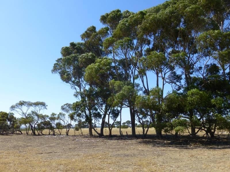 125 Smeaton  Road, Clunes VIC 3370