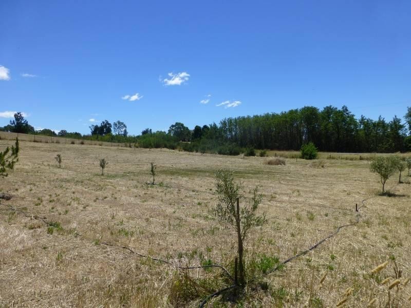 6 Roses Lane, Clunes VIC 3370