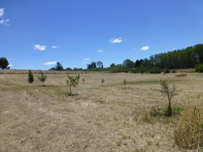 6 Roses Lane, Clunes VIC 3370