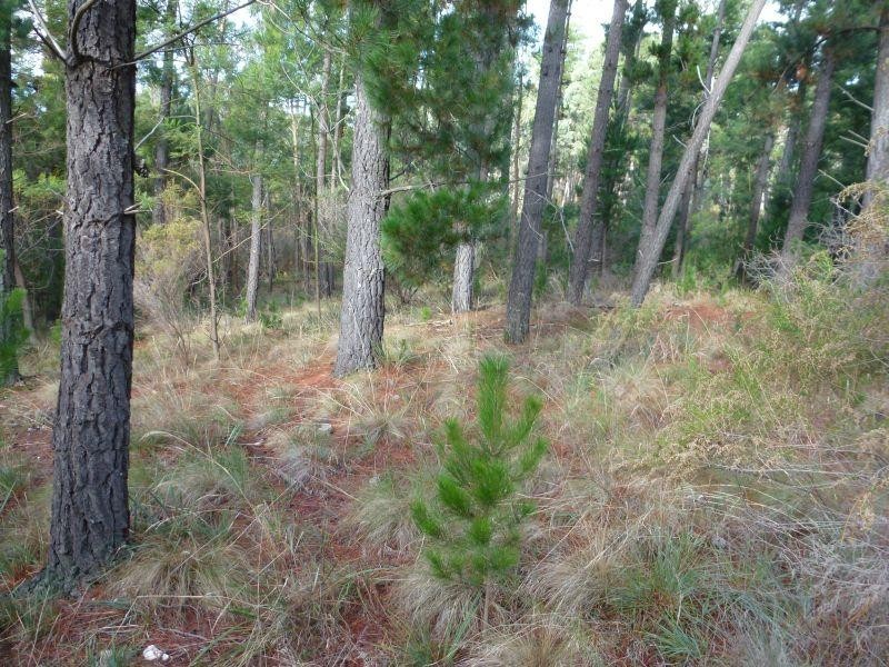 61 Pollards Lane, Creswick VIC 3363