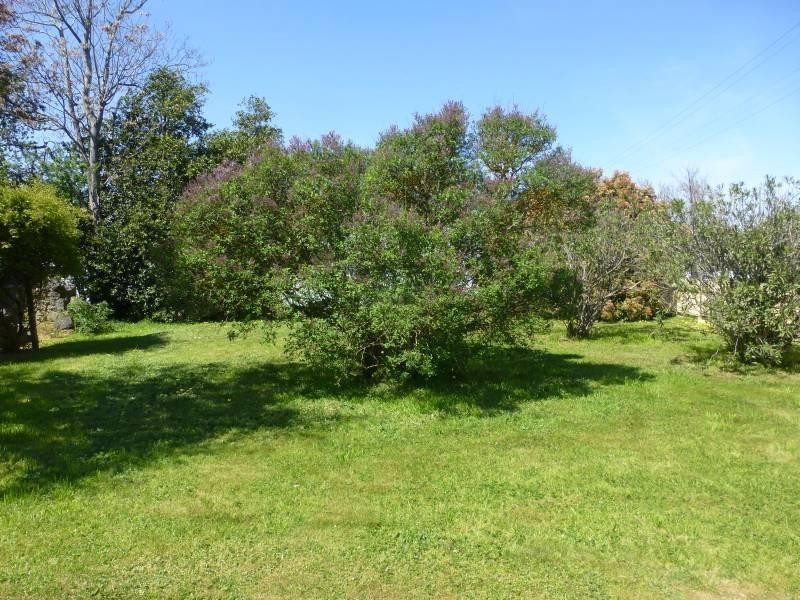 71 Bailey Street, Clunes VIC 3370