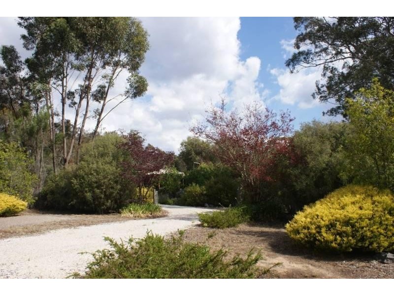 49 Skene Street, Lexton VIC 3352