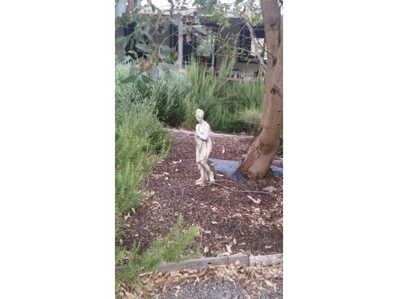 120 Learmonth Road, Clunes VIC 3370