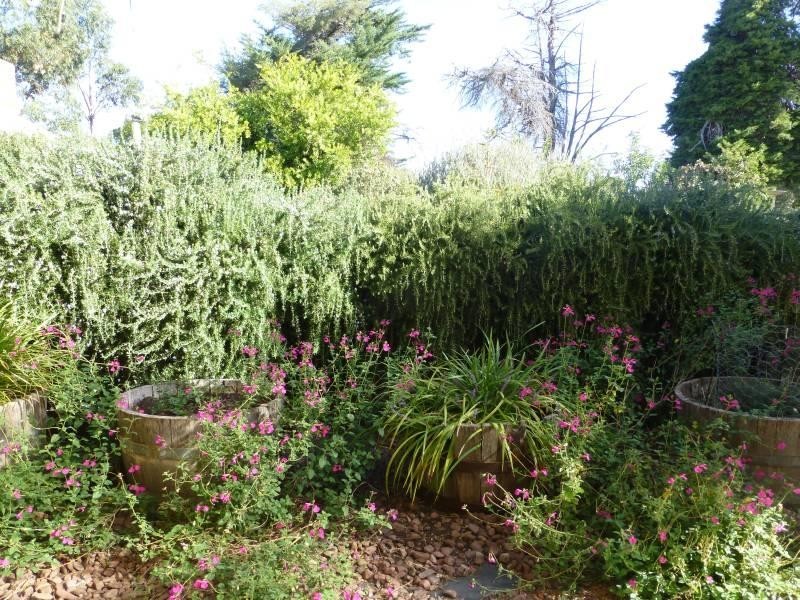 82 Bailey Street, Clunes VIC 3370