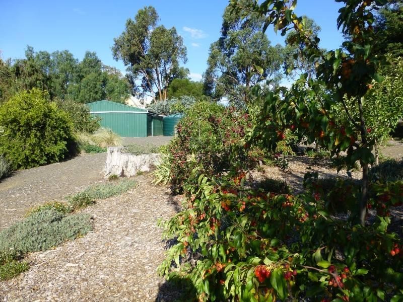 82 Bailey Street, Clunes VIC 3370