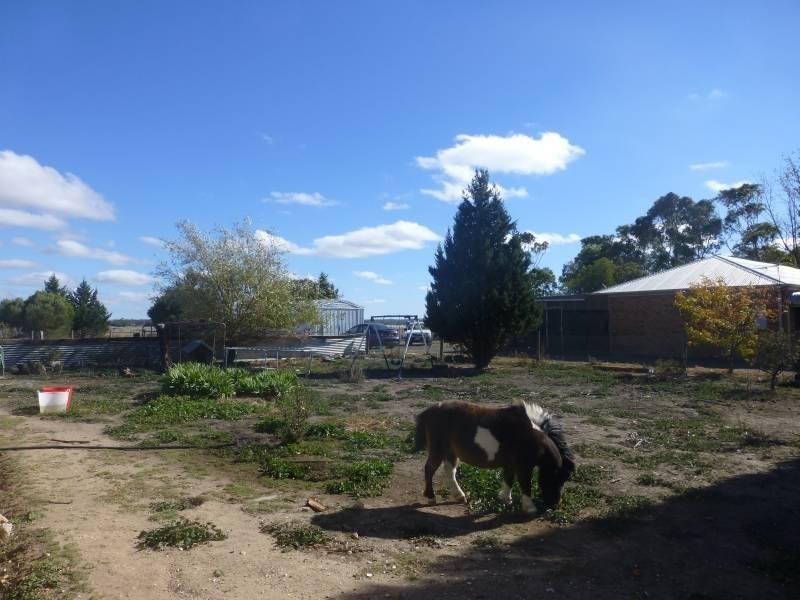 16 Angus Street, Clunes VIC 3370