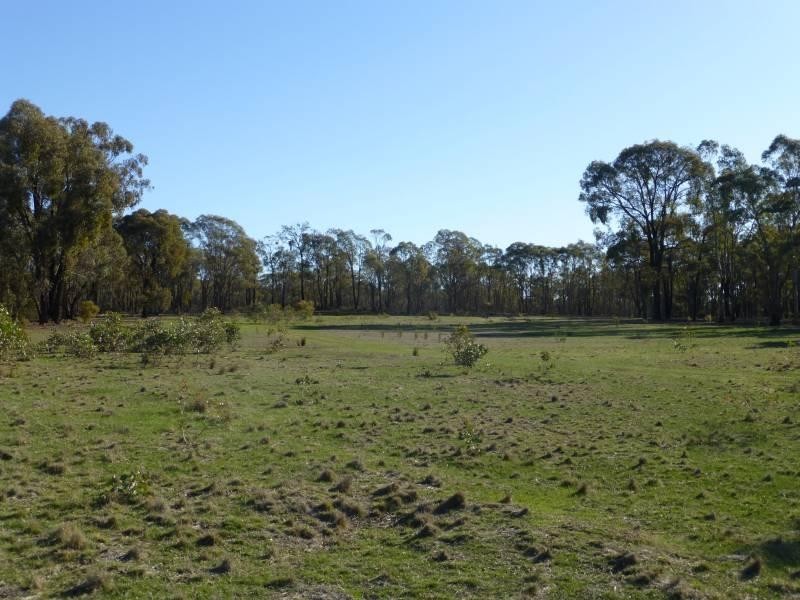 Lt 14 224 Nuggetty Gully Road, Talbot VIC 3371